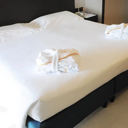 Maggiore 3* Bologna